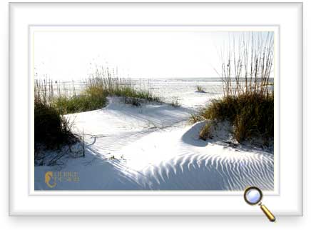 Seaoats are the builders of dunes.