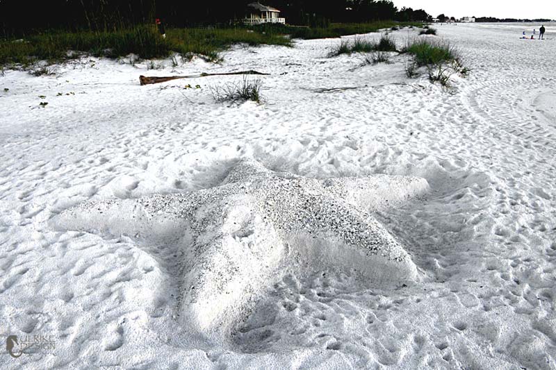 A huge sea star made from sand.